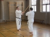 kenjutsu-lehrgang-maerz-2012-08